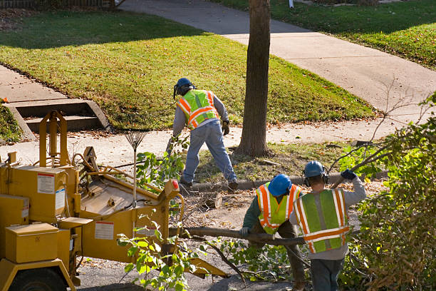 Lawn Drainage Solutions in Mannington, WV